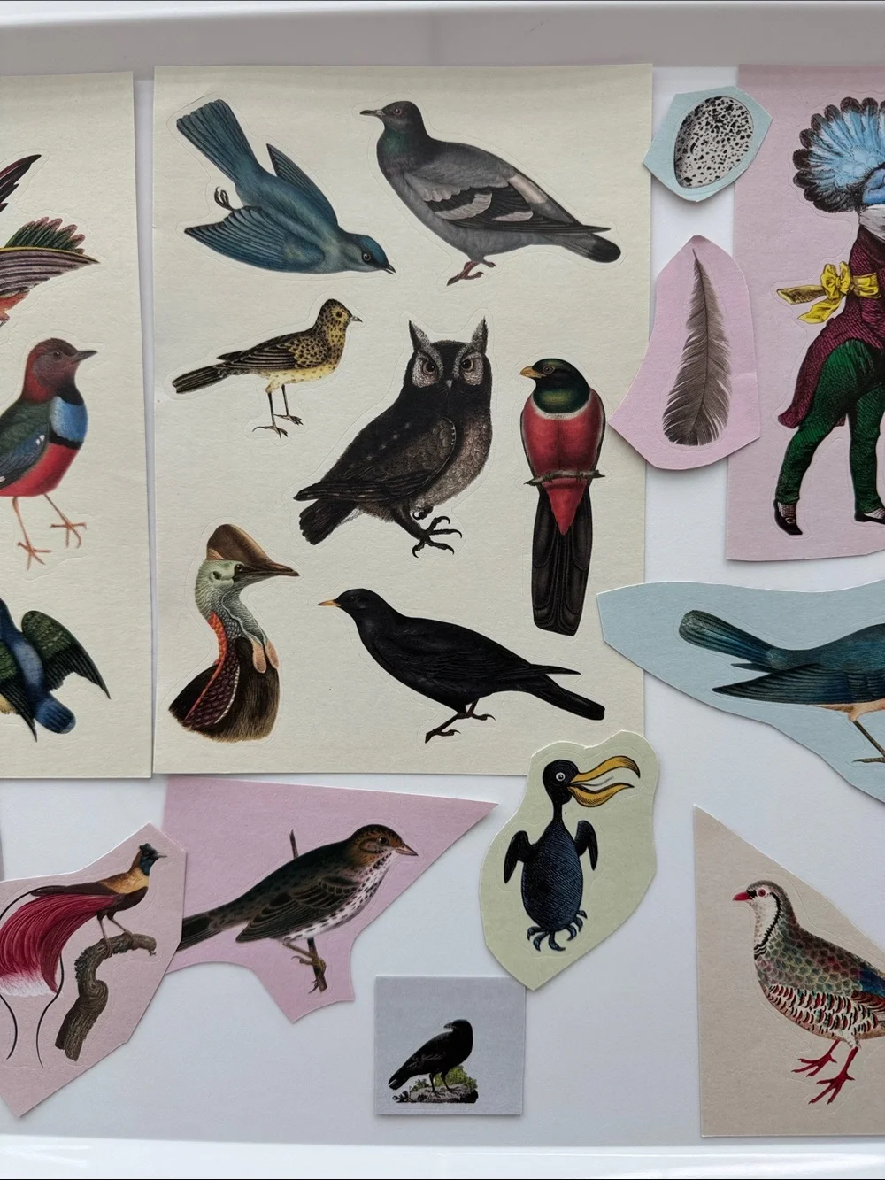 Bird Gift Bag and Stickers
